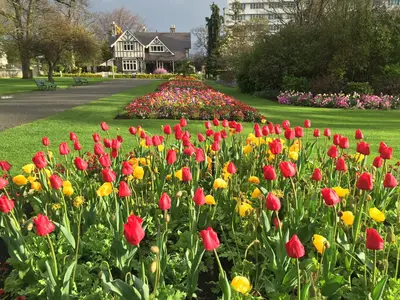 Christchurch: Conocida como la Ciudad Jardín