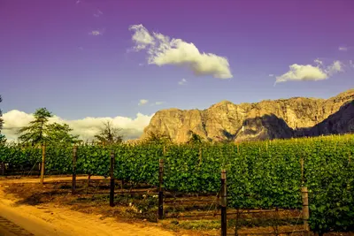 Ciudad Del Cabo