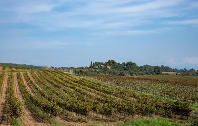 Comarca Del Penedes