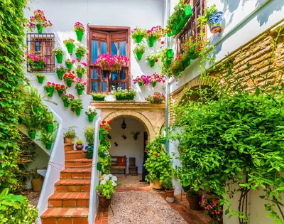 Cordoba