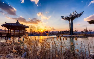 daegu