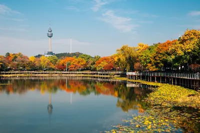 Daegu