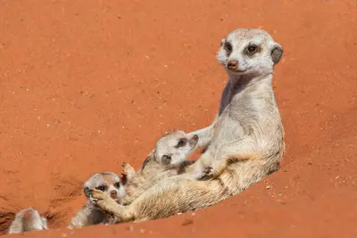 Desierto Del Namib
