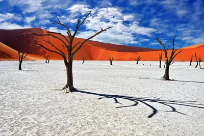 Desierto Del Namib