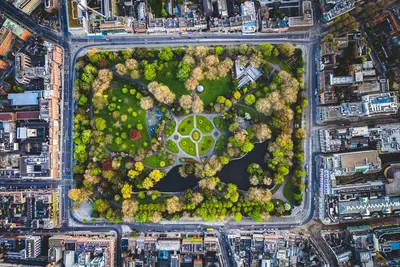 Dublín