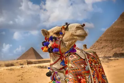 El Cairo