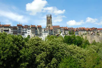 Friburgo