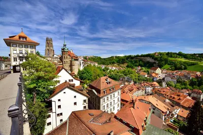 Friburgo