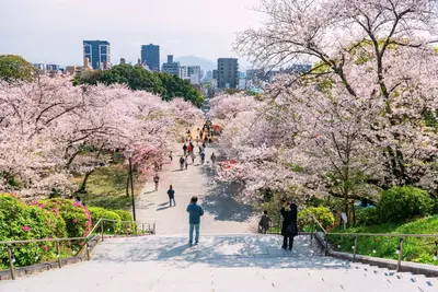 View of Fukuoka City from Nishi Park, Kyush