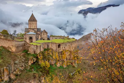 Goris
