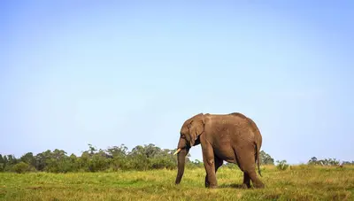 Knysna, hermosa población que se encuentra a orillas de una laguna que se abre entre dos amplios acantilados de piedra.