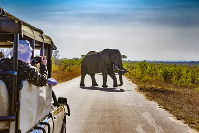 Kruger: Uno de los parques naturales más célebres del mundo