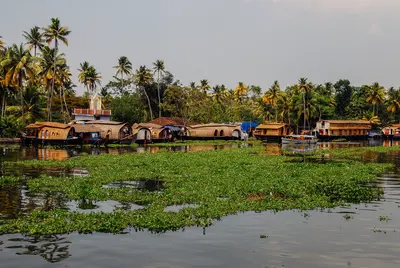 Kumarakom: Una ciudad a orillas del Lago Vembanad.
