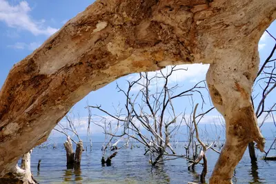 Lago Enriquillo