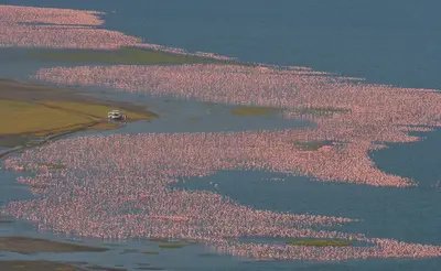 Lago Nakuru