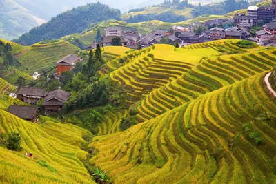 Longsheng: Lonji rice paddies, a World Heritage Site.