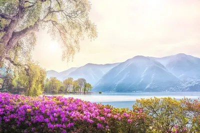 Lugano
