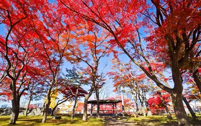 Morioka