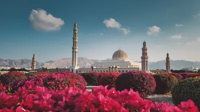 Muscat