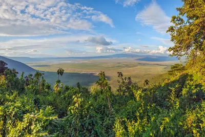 Parque Nacional del Cráter Ngorongoro 