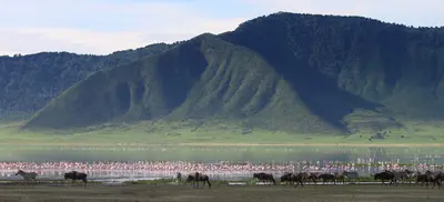 Ngorongoro