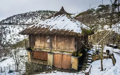 Cebreiro