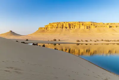 Oasis Al Fayun