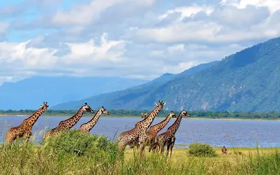 Parque Nacional Lago Manyara