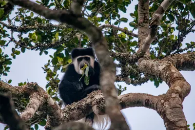 Parque Nacional Aberdare