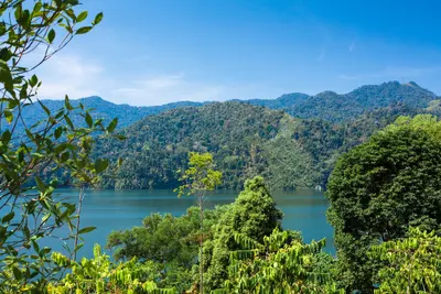 Parque Nacional Belum Temenggor