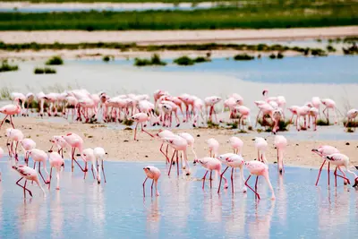 Parque Nacional Etosha