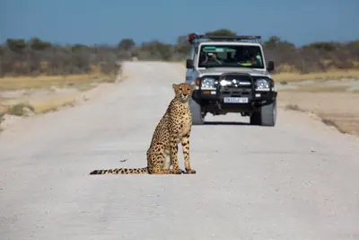 Parque Nacional Etosha