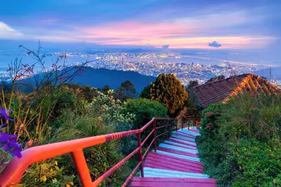 Penang 