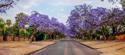 Pretoria