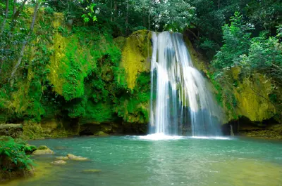 Samana
