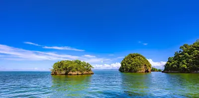 Samana
