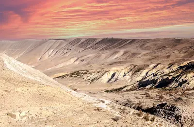 Shobak