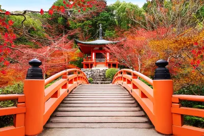 Tokio