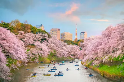Tokio
