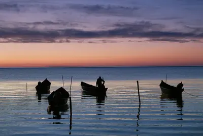 Tulcea