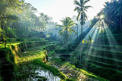 Ubud