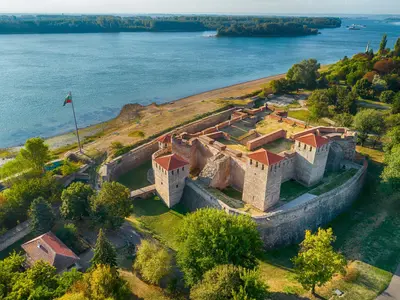 vidin