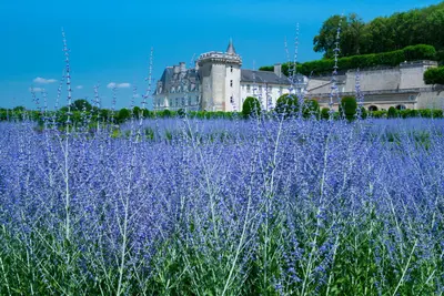 Villandry