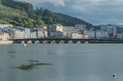 Viveiro