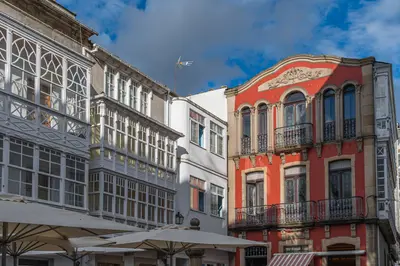 Viveiro