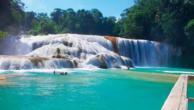 Agua azul: We enter the National Park where you can walk among more than 50 waterfalls with heights of between 3 and 30 metres. 