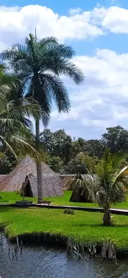 Guamá<i>  by Lindoviaje</i>