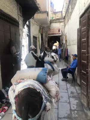 Fez<i>  by beltran_guia</i>