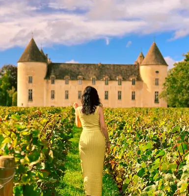 Savigny Castle<i>  by CristtyRs</i>