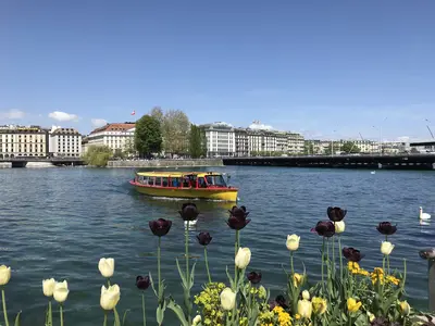 Geneva<i>  by Chem</i>